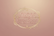 MDJS Girly Logo